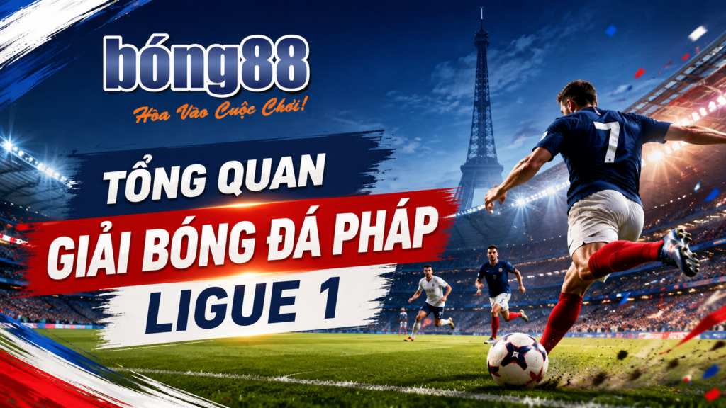 Ligue 1 là giải đấu cao nhất trong hệ thống bóng đá chuyên nghiệp Pháp